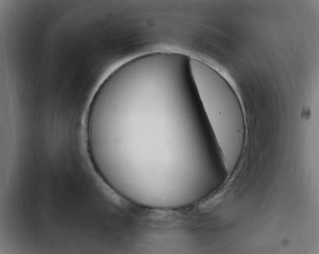 X0000103411056200809120943