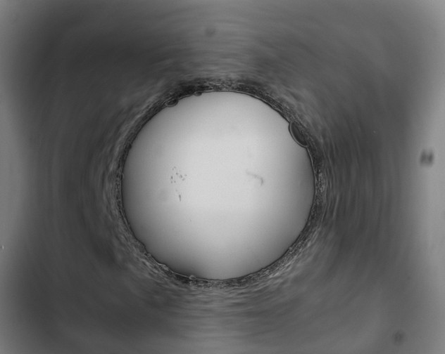 X0000103411057200809120943