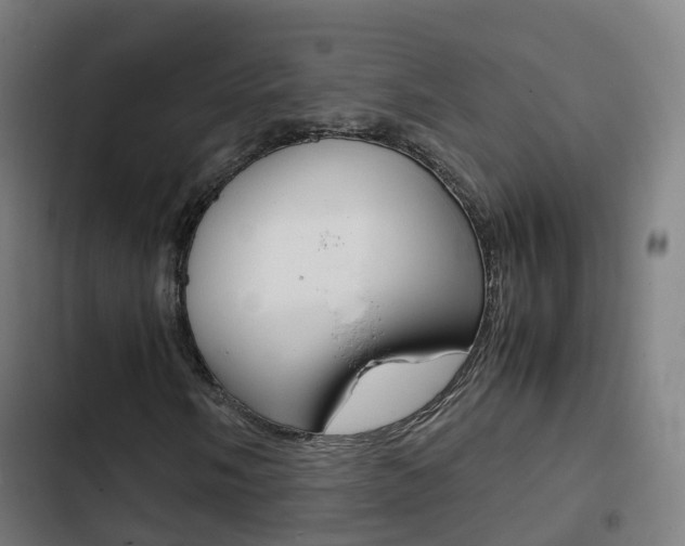 X0000103411058200809120943
