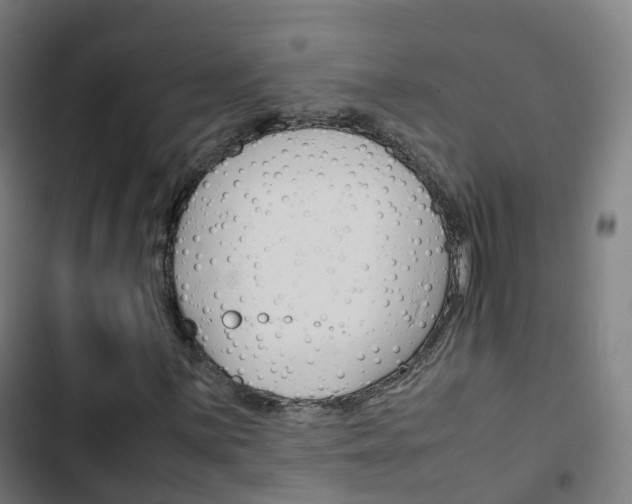 X0000103411059200809120943