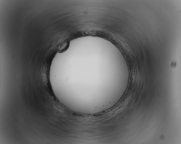 X0000103411060200809120943