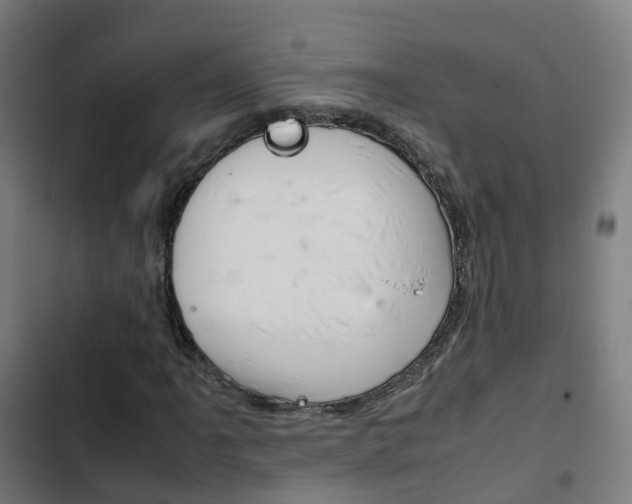 X0000103411061200809120943