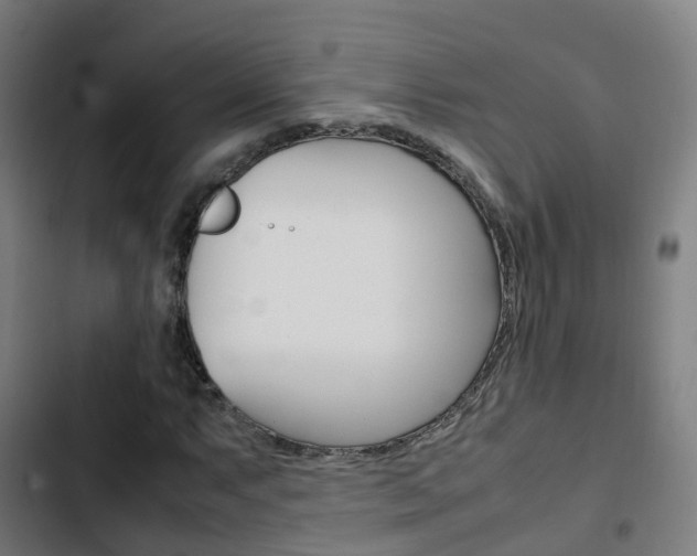 X0000103411063200809120943