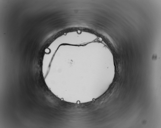 X0000103411064200809120943