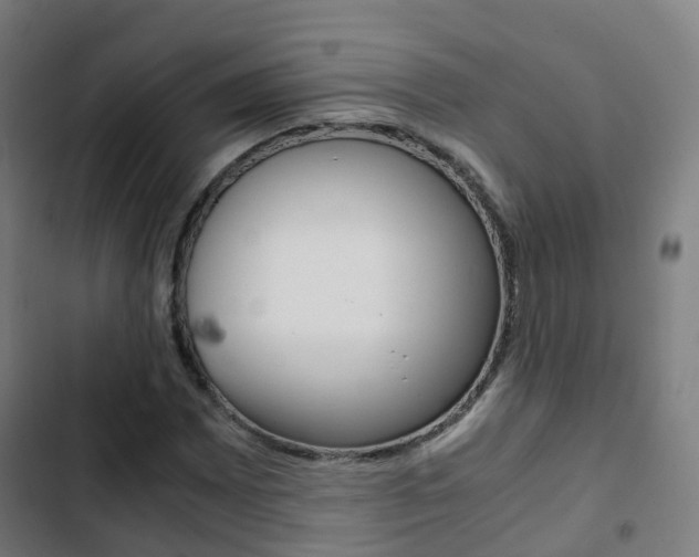 X0000103411065200809120943