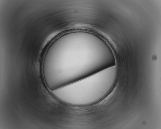 X0000103411066200809120943