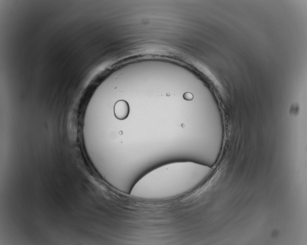 X0000103411067200809120943
