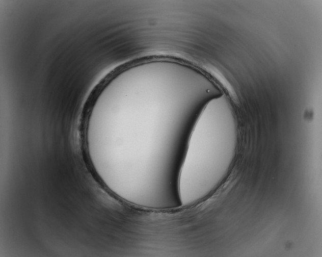 X0000103411068200809120943