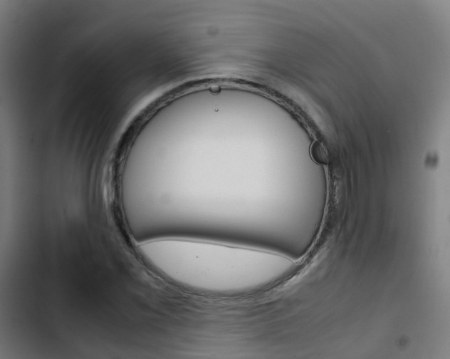 X0000103411069200809120943