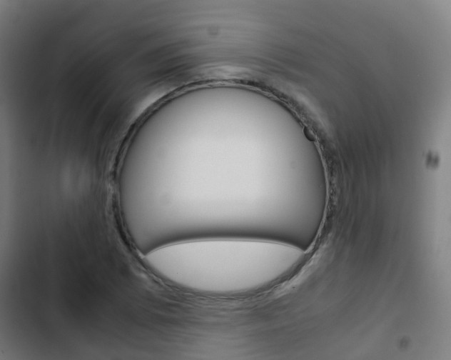 X0000103411073200809120943