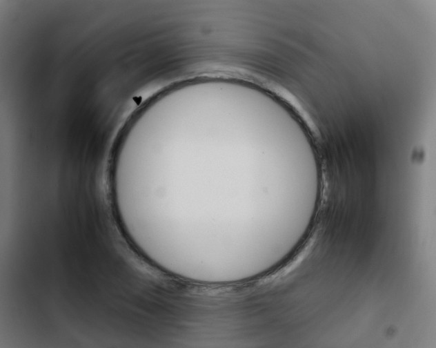 X0000103411074200809120943