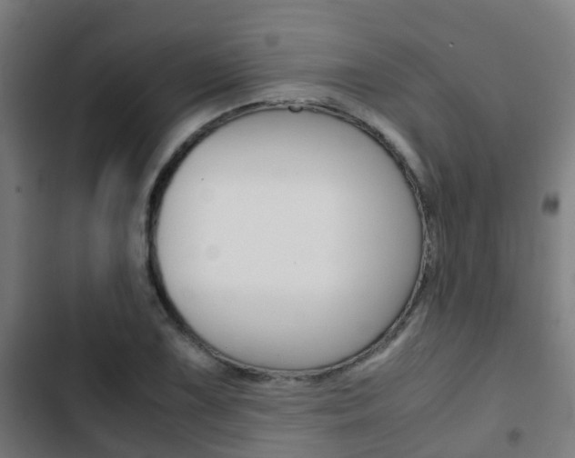 X0000103411075200809120943