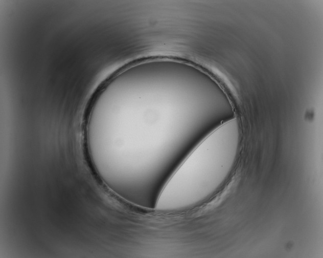 X0000103411077200809120942