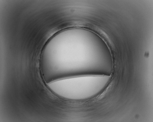 X0000103411081200809120942