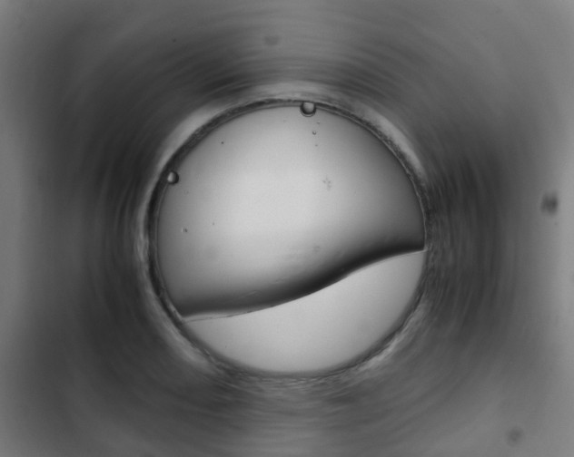 X0000103411082200809120942