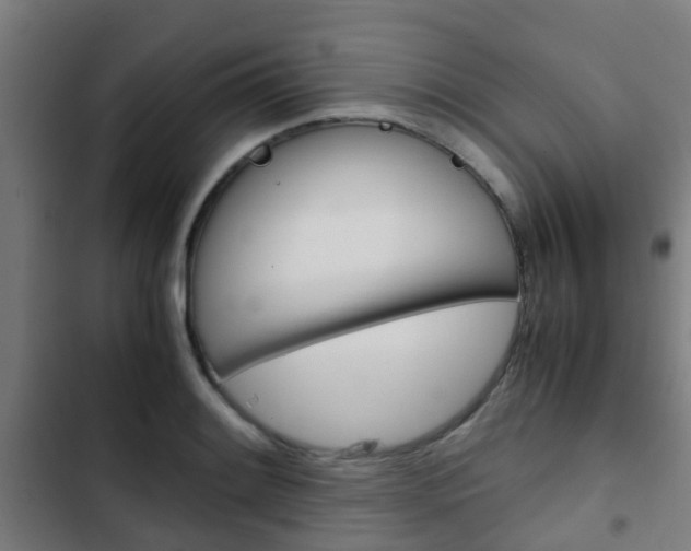 X0000103411084200809120942