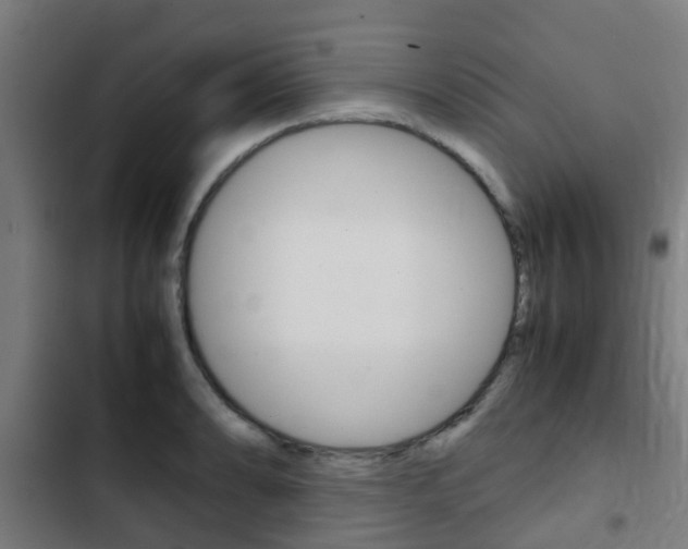 X0000103411086200809120942