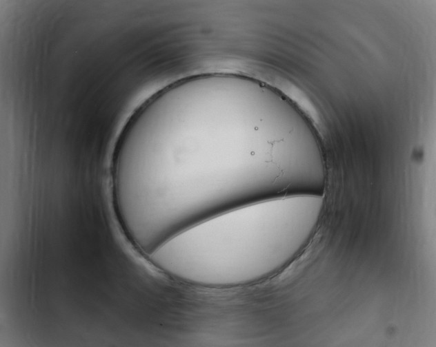 X0000103411088200809120942