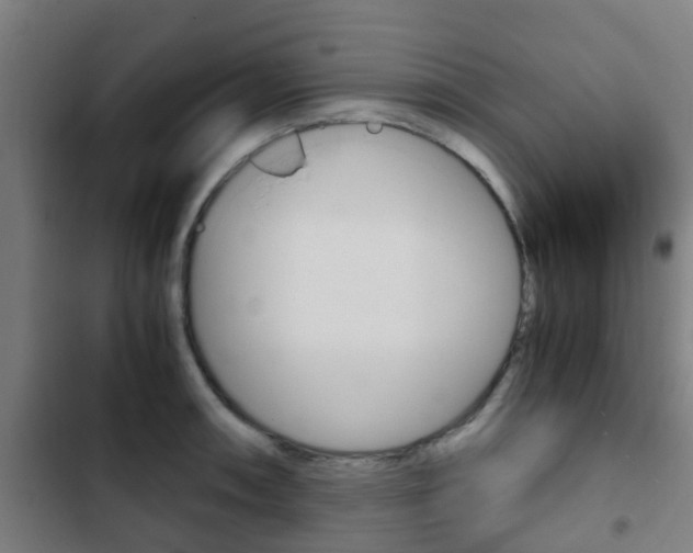 X0000103411090200809120942