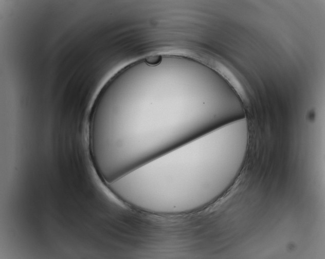 X0000103411092200809120942