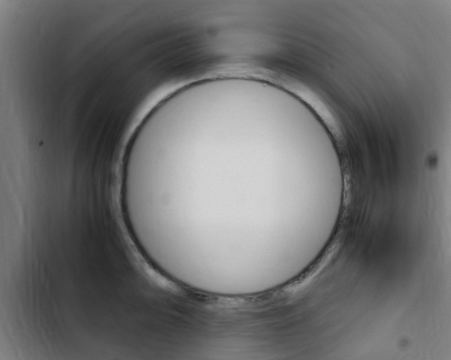X0000103411094200809120942