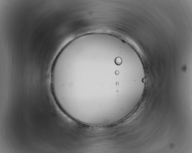 X0000103411095200809120942