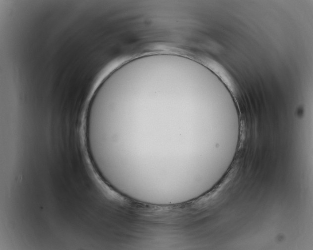 X0000103411098200809120942