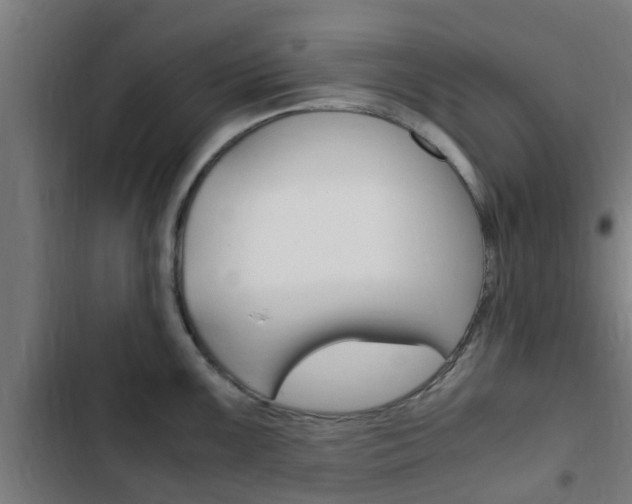 X0000103411099200809120942