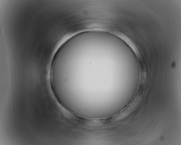 X0000103411101200809120942