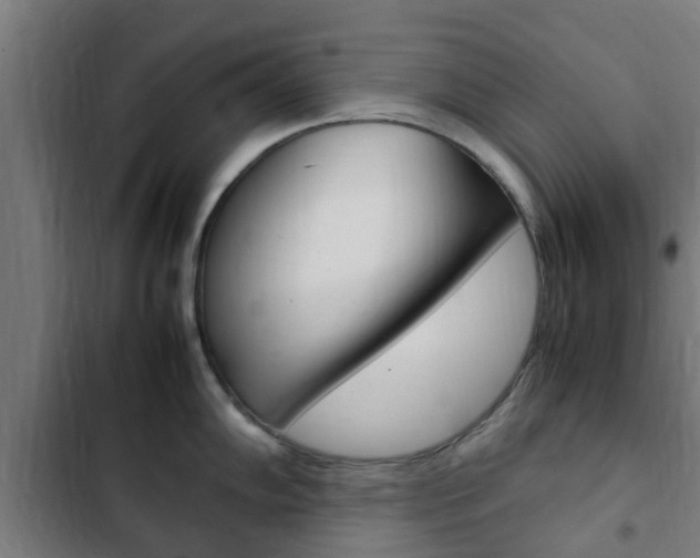 X0000103411102200809120942