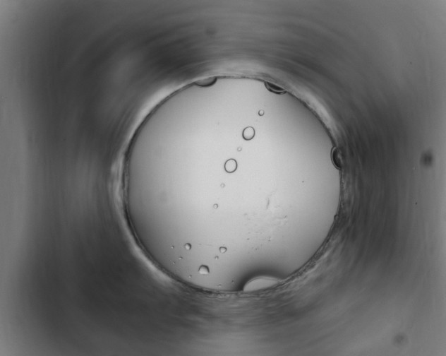 X0000103411103200809120942
