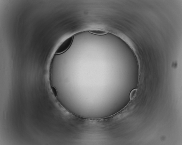 X0000103411104200809120942