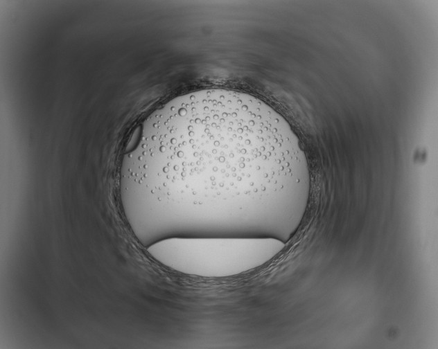 X0000103411105200809120941