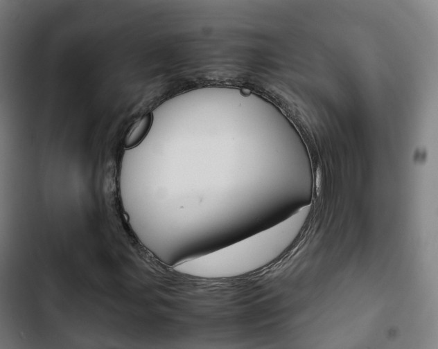 X0000103411107200809120941