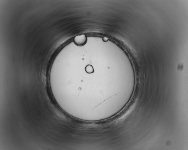 X0000103411113200809120941