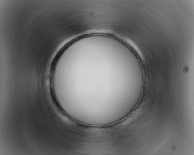 X0000103411124200809120942