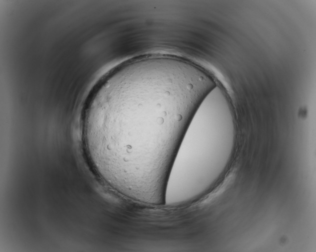 X0000103411125200809120942