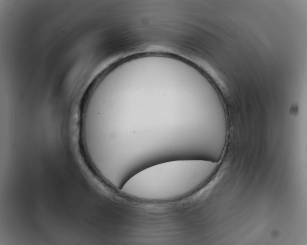 X0000103411126200809120942