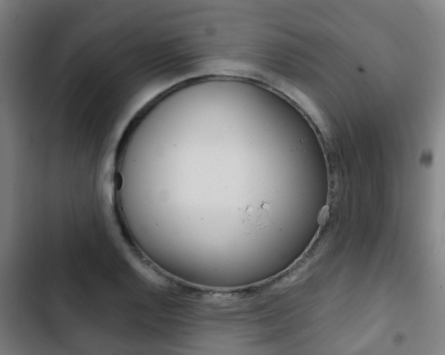 X0000103411128200809120942