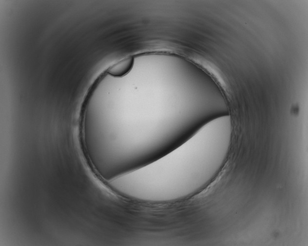 X0000103411135200809120942