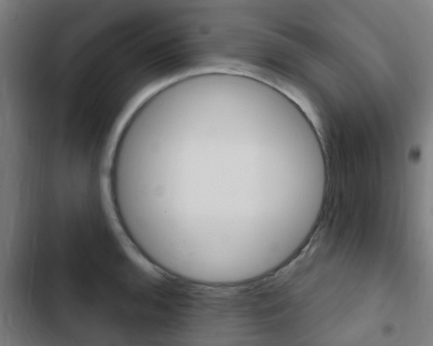 X0000103411136200809120942