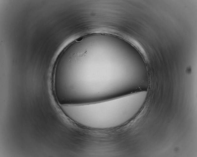 X0000103411138200809120942