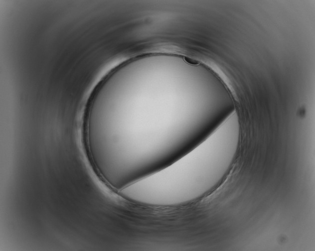 X0000103411139200809120942
