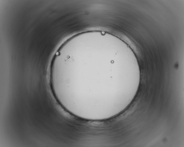X0000103411140200809120942