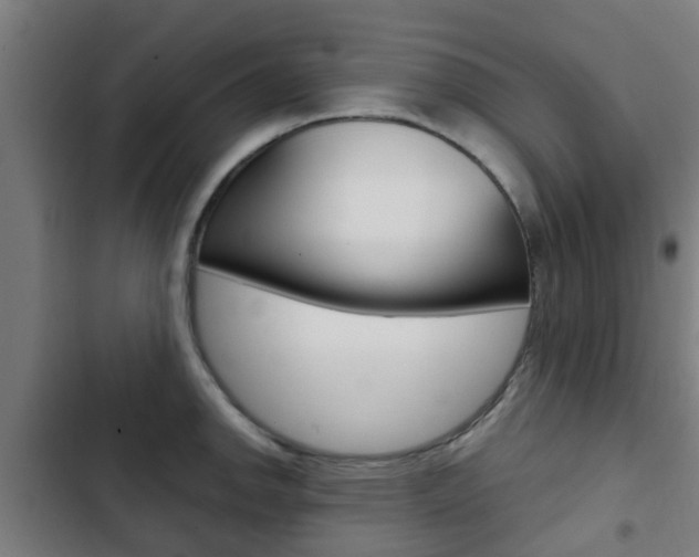 X0000103411142200809120942
