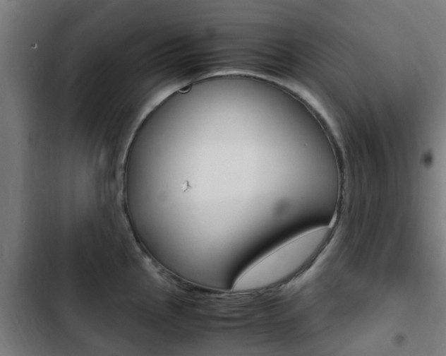 X0000103411145200809120942