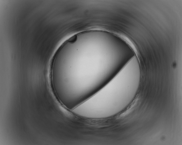 X0000103411149200809120942