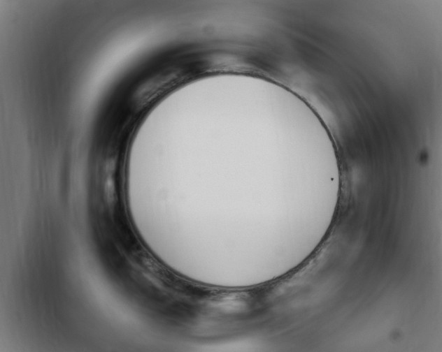 X0000103411150200809120942