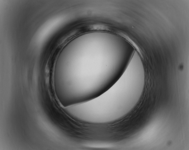 X0000103411151200809120942