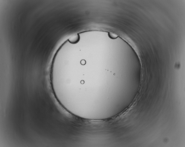 X0000103411152200809120942